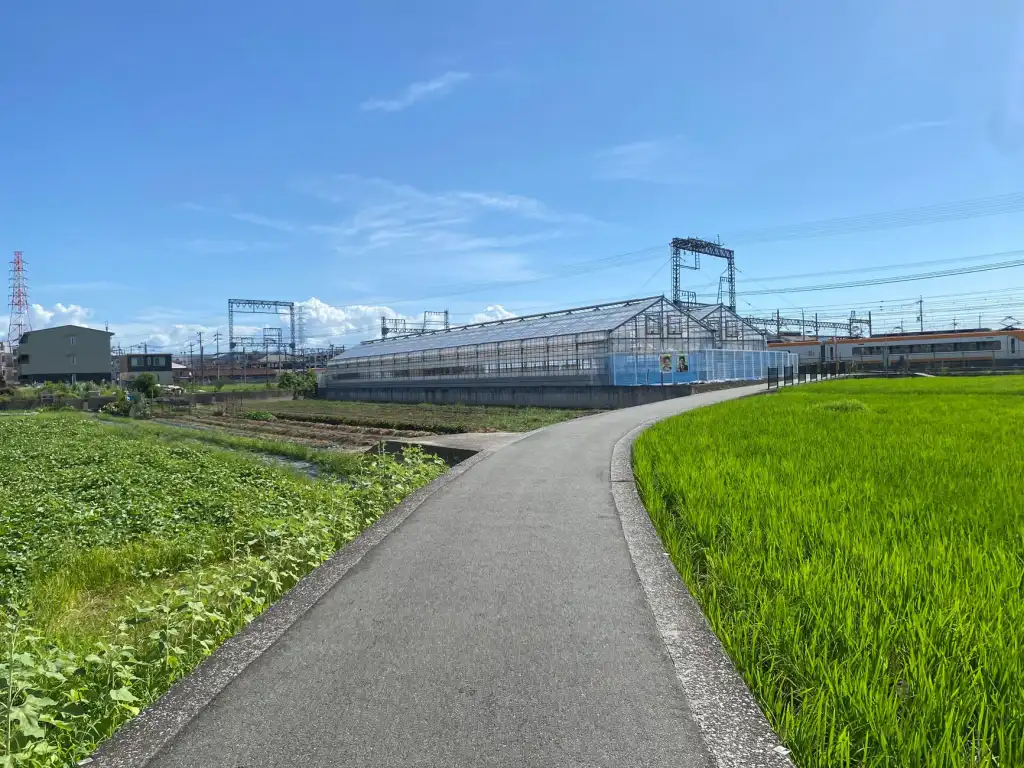 日式美甲与法式美甲工艺差异及选型指南