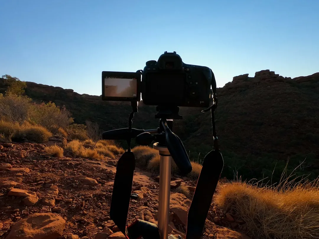 重庆日式美甲与法式美甲工艺差异及适用场景解析